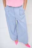 PANTALONE SPIGATO CON PINCE BLU